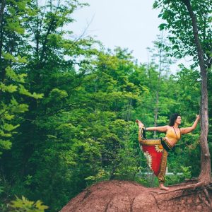 Introduction to Ayurveda – Part II